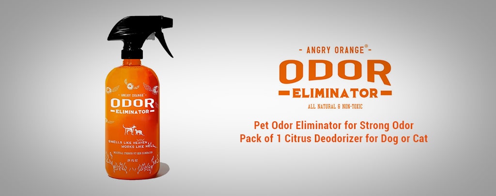 Best ANGRY ORANGE Pet Odor Eliminator Deodorizer for Dogs  USA 2021