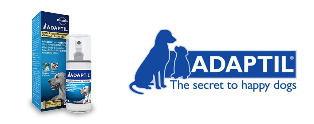 Best Adaptil Calming Spray for Dogs United States 2021