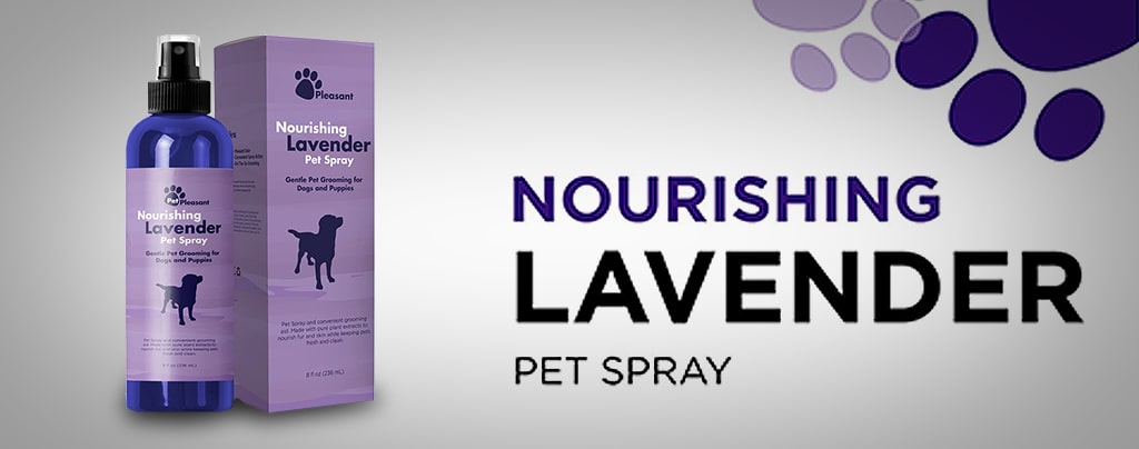 Best Dog Spray For Smelly Dogs and Dog Calming Spray with Lavender Essential Oil USA 2021