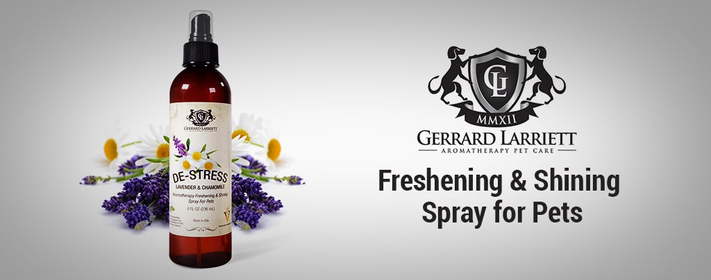 Best Lavender & Chamomile Aromatherapy Freshening & Shining Spray for Pets, Grooming Spray for Dogs USA 2021
