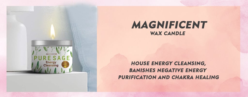Buy MAGNIFICENT 101 Pure Sage Candle for House Energy Cleansing,Natural Soy Wax Tin Candle USA 2021